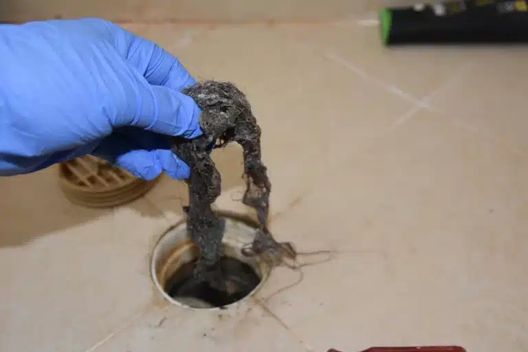 Grease or hair build up in pipes