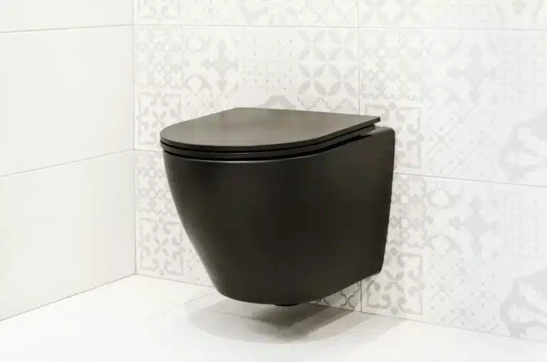 wall mounted toilet installation